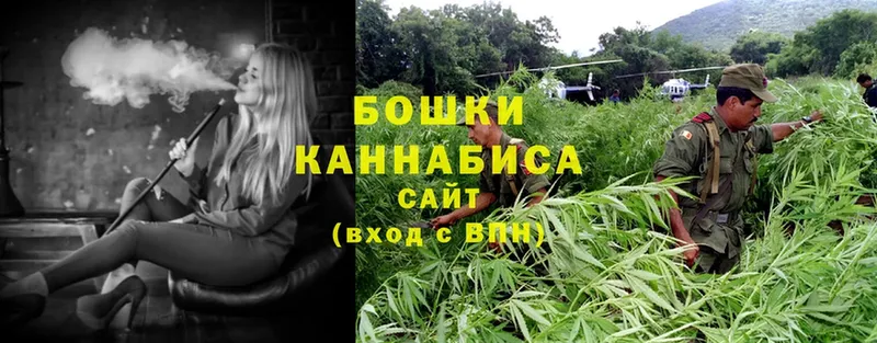 купить   Гусев  Шишки марихуана SATIVA & INDICA 